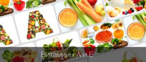 Витамин А: в каких продуктах он находится