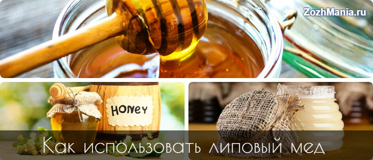 Липовый мед польза и вред
