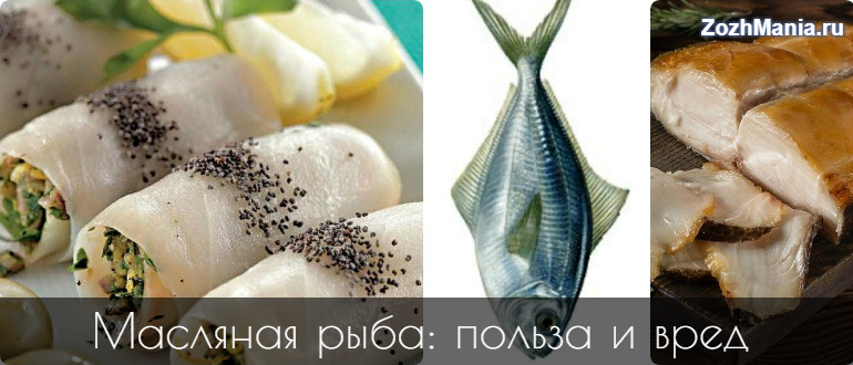 Из чего делают масляную рыбу