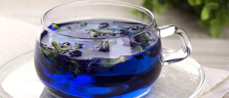 синий чай из тайланда полезные свойства